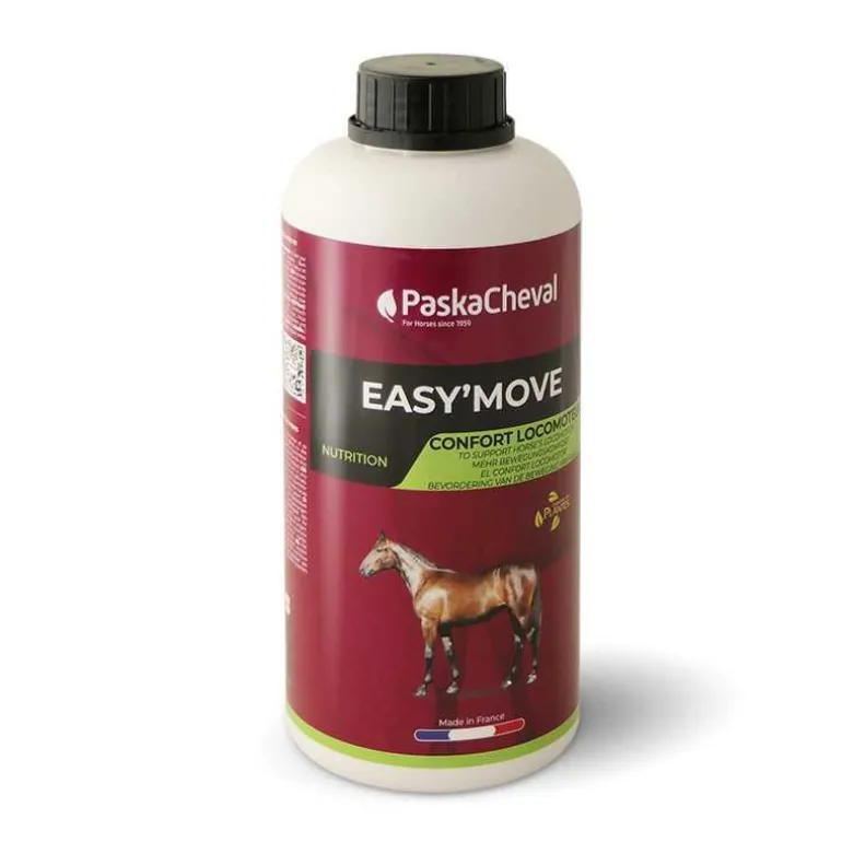 Easy'Move Locomotion Paskacheval
