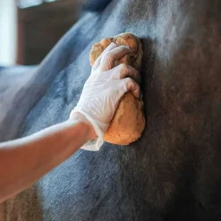 Emouchine Forte Ravene - 250ml