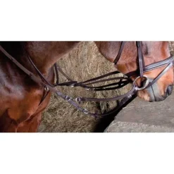 Enrênement Howlett T de T