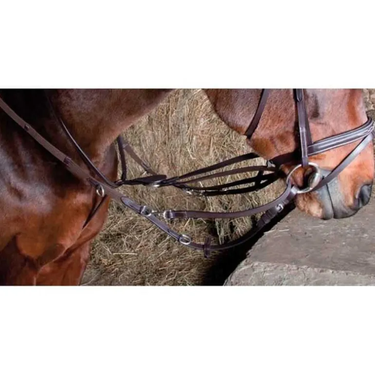 Enrênement Howlett T de T