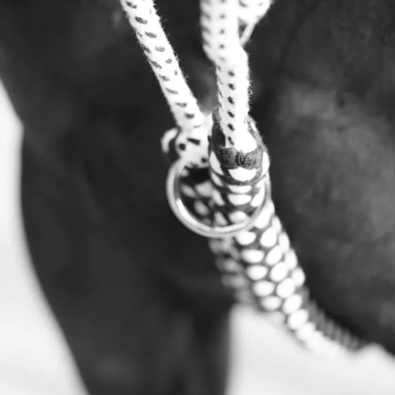 Enrênement Soft Rope Canter