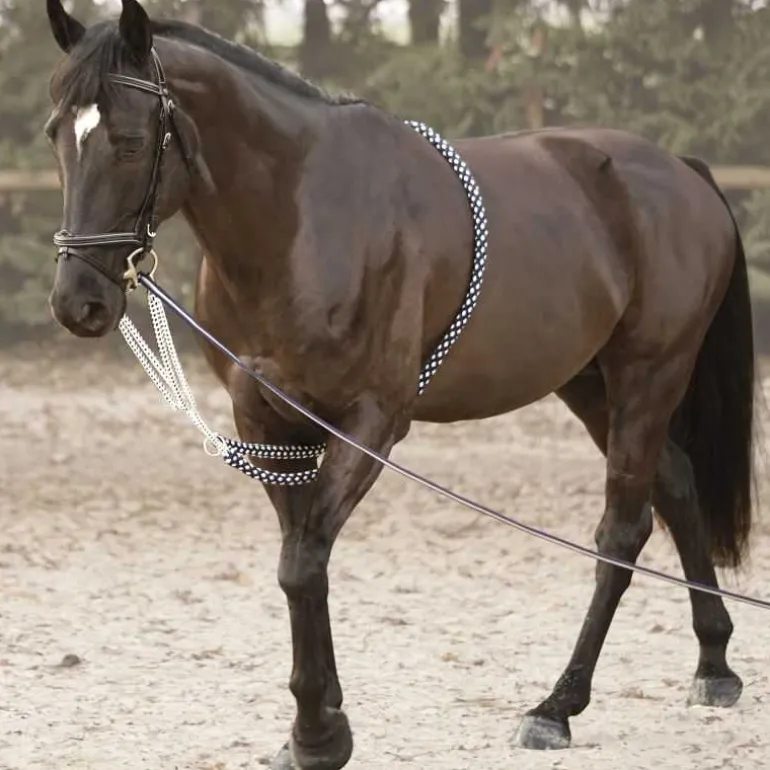 Enrênement Soft Rope Canter