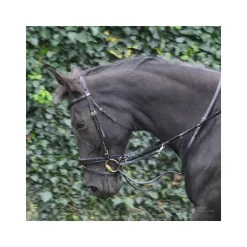 Enrênement Thiedemann Stationata