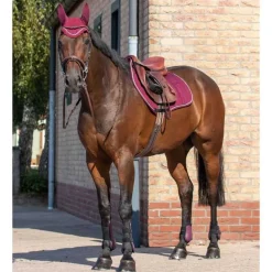 Ensemble guêtres et protège-boulets QHP