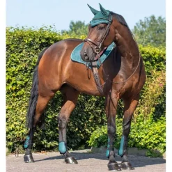 Ensemble guêtres et protège-boulets QHP