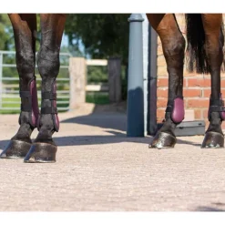 Ensemble guêtres et protège-boulets QHP