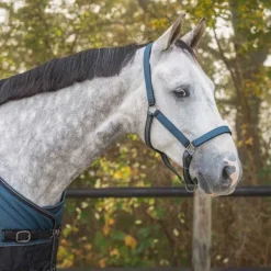 Ensemble licol + longe Collection QHP