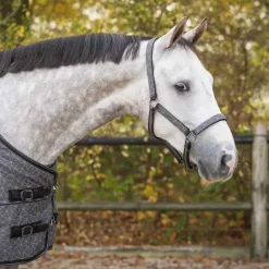 Ensemble licol + longe Collection QHP