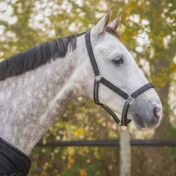 Ensemble licol + longe Collection QHP