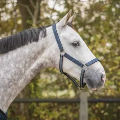 Ensemble licol + longe Collection QHP