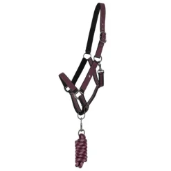 Ensemble licol + longe Collection QHP