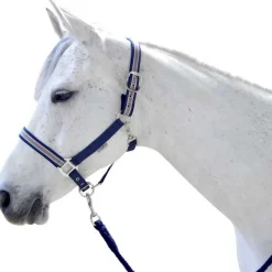 Ensemble licol et longe Doulovo Flags&Cup