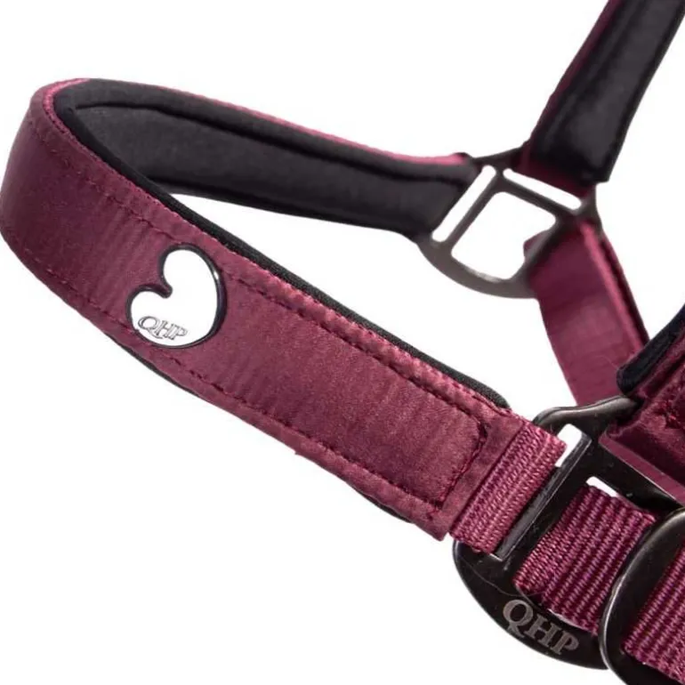 Ensemble licol et longe Lily QHP