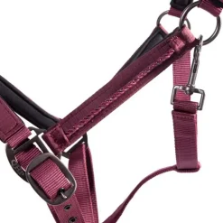 Ensemble licol et longe Lily QHP