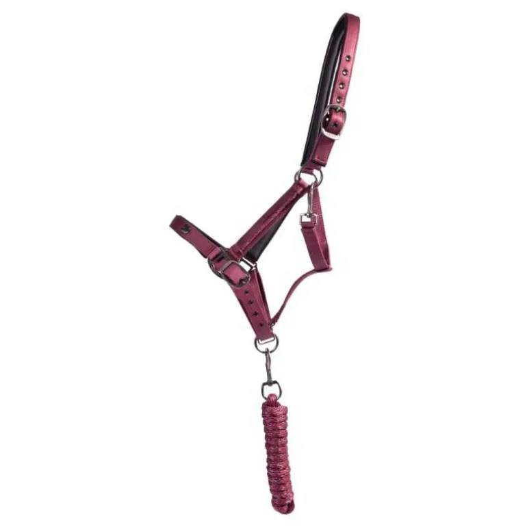 Ensemble licol et longe Lily QHP