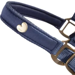 Ensemble licol et longe Lily QHP