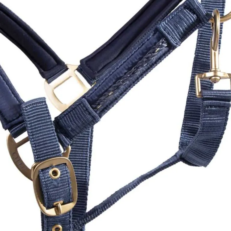 Ensemble licol et longe Lily QHP