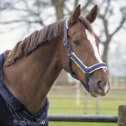 Ensemble licol et longe Sensisoft QHP