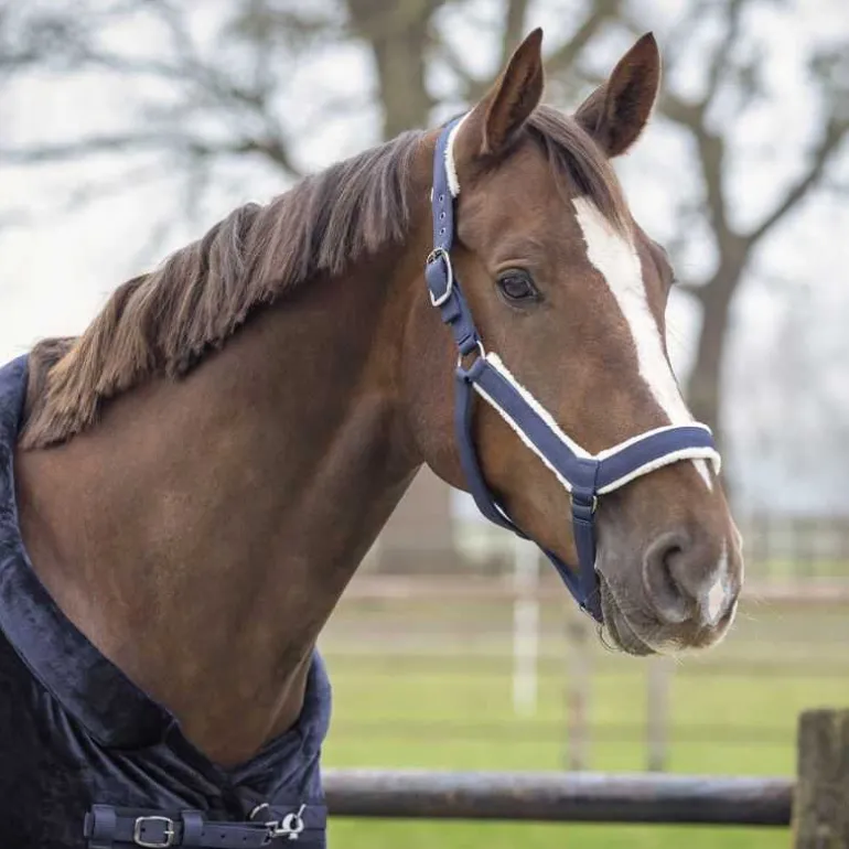 Ensemble licol et longe Sensisoft QHP