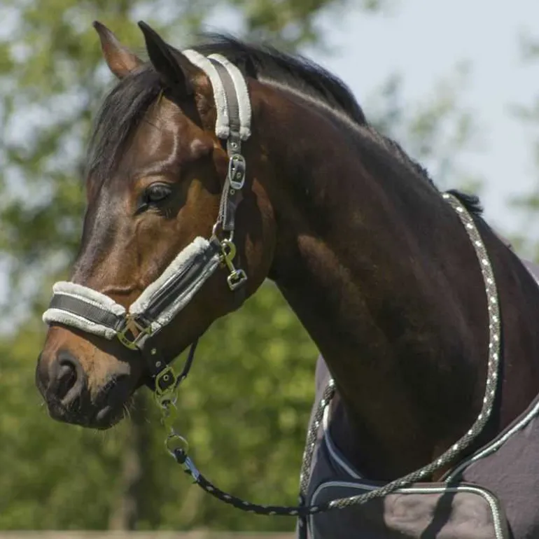 Ensemble licol fourré et longe Dolci QHP