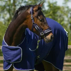 Ensemble licol fourré et longe Dolci QHP