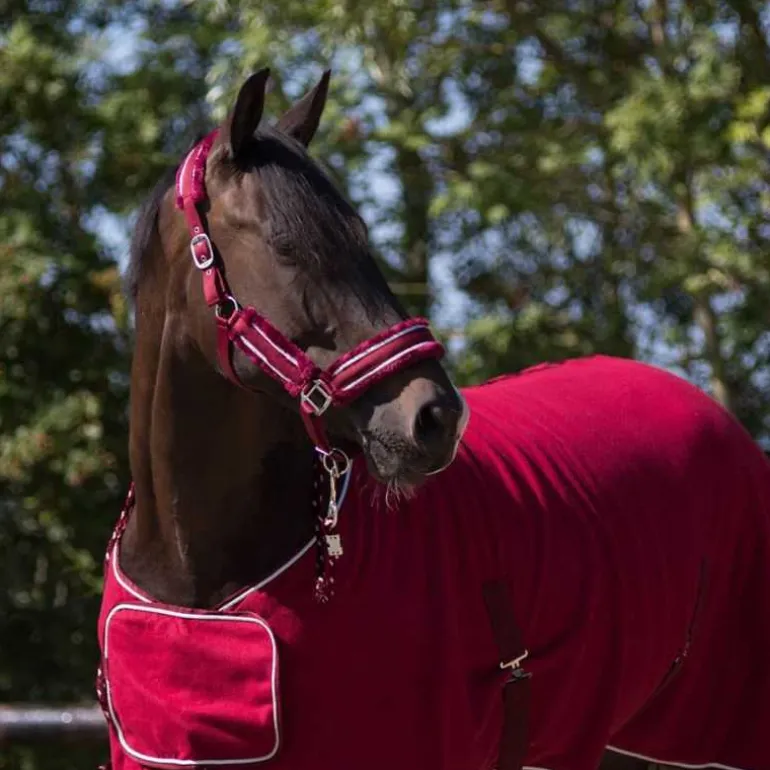 Ensemble licol fourré et longe Dolci QHP