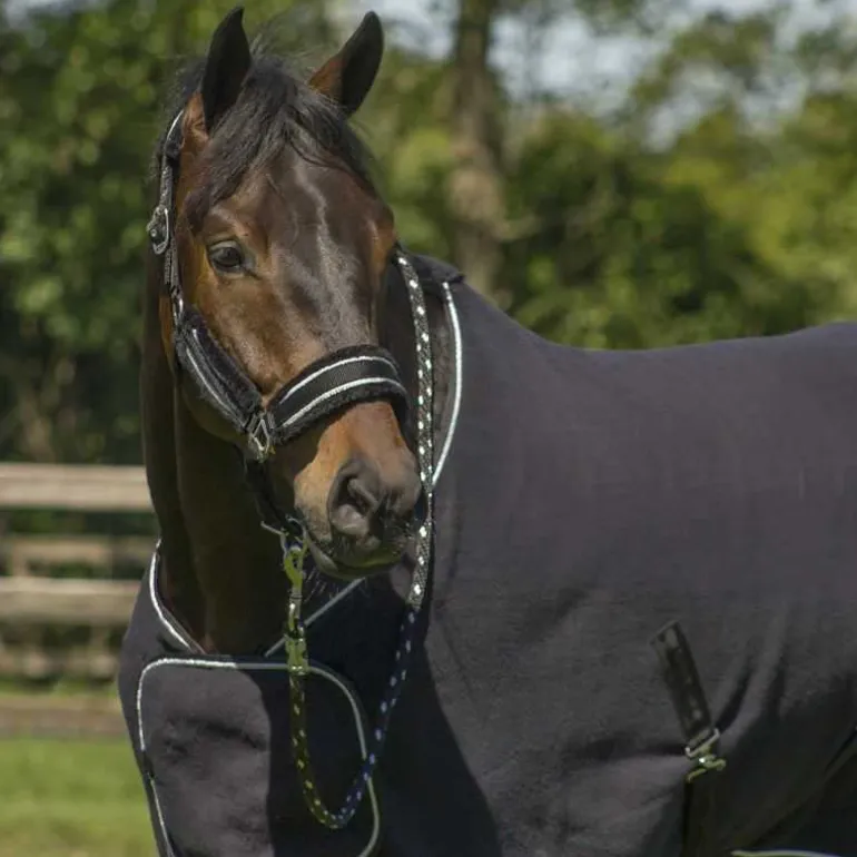 Ensemble licol fourré et longe Dolci QHP