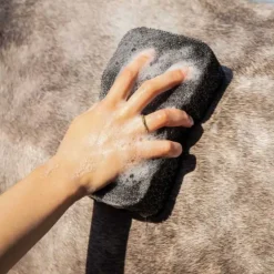 Eponge super shiner QHP