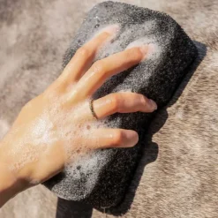 Eponge super shiner QHP