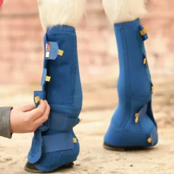 Equi-chaps Close contact Equilibrium
