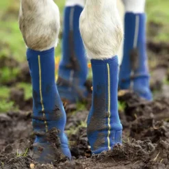 Equi-chaps Close contact Equilibrium