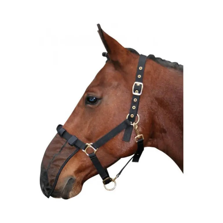 Filet pour naseaux Harry's Horse
