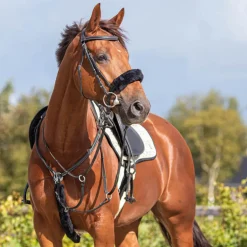 Fourreau de martingale QHP