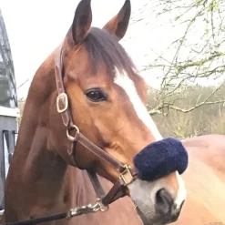 Fourreau de muserolle Stationata