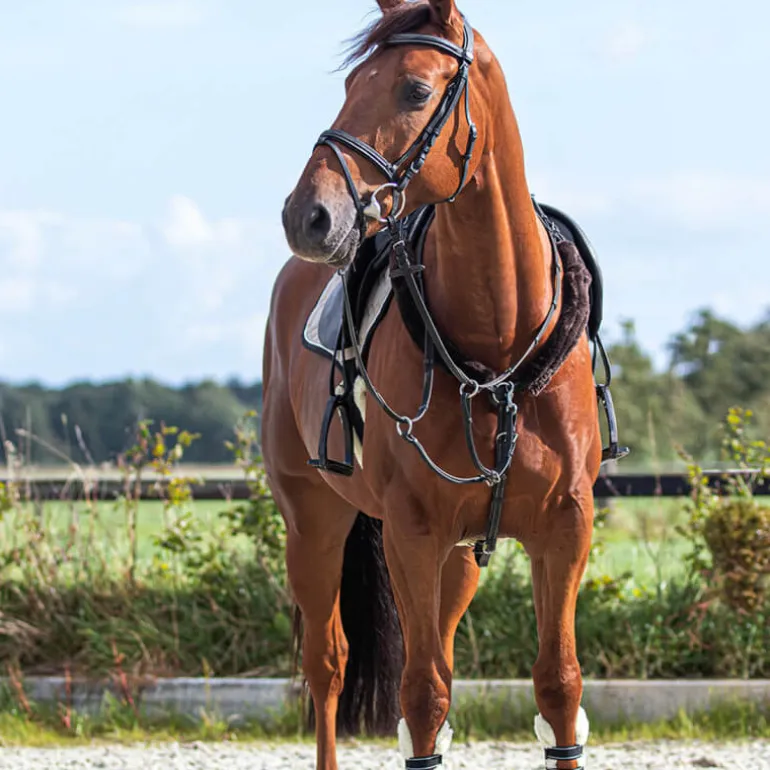 Fourreaux de rênes QHP