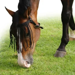 Frontal chasse Mouche Extra Q-Essential - noir