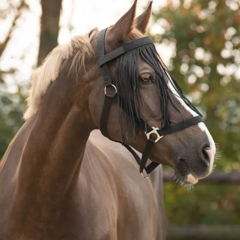 Frontal Chasse Mouche Q-Essentials Noir