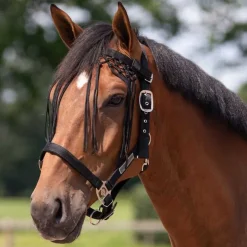 Frontal chasse mouches noué QHP