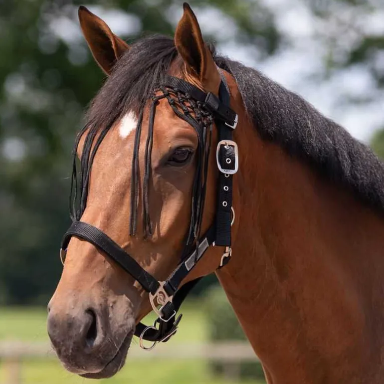 Frontal chasse mouches noué QHP