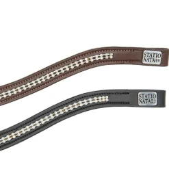 Frontal Dalhia Stationata