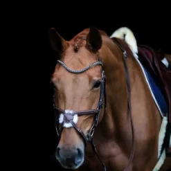 Frontal vague avec Strass HFI Master