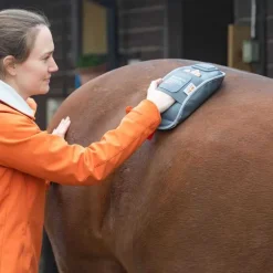 Gant de massage chauffant Equilibrium