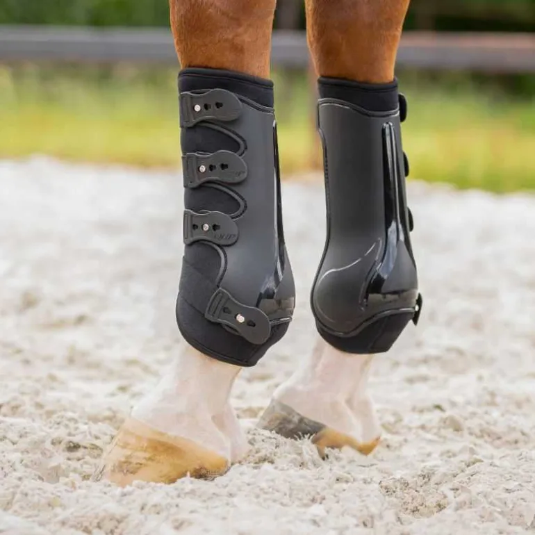 Guêtres champion antérieurs QHP