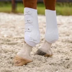 Guêtres champion antérieurs QHP