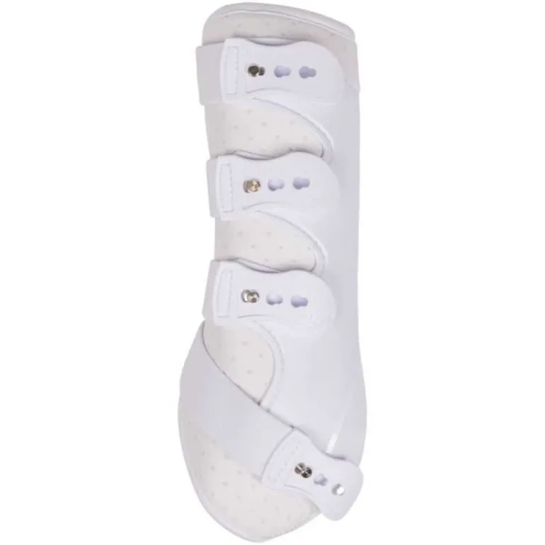 Guêtres champion antérieurs QHP