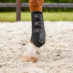 Guêtres champion antérieurs QHP