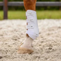 Guêtres champion antérieurs QHP