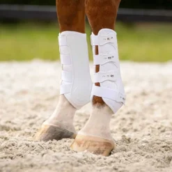 Guêtres champion antérieurs QHP