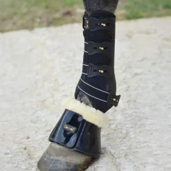 Guêtres de dressage T de T