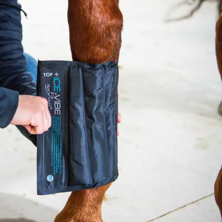 Guêtres de soin Ice-Vibe Horseware